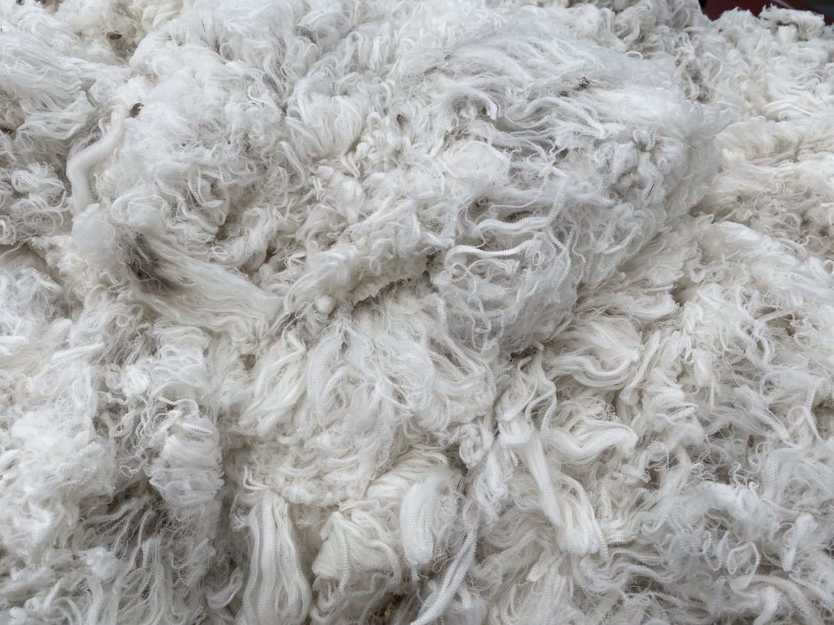 In 2023 Australian #wool will lead the world in traceability. Rollout of #eBale to kick off from January next year. 
tinyurl.com/eBale-implemen…