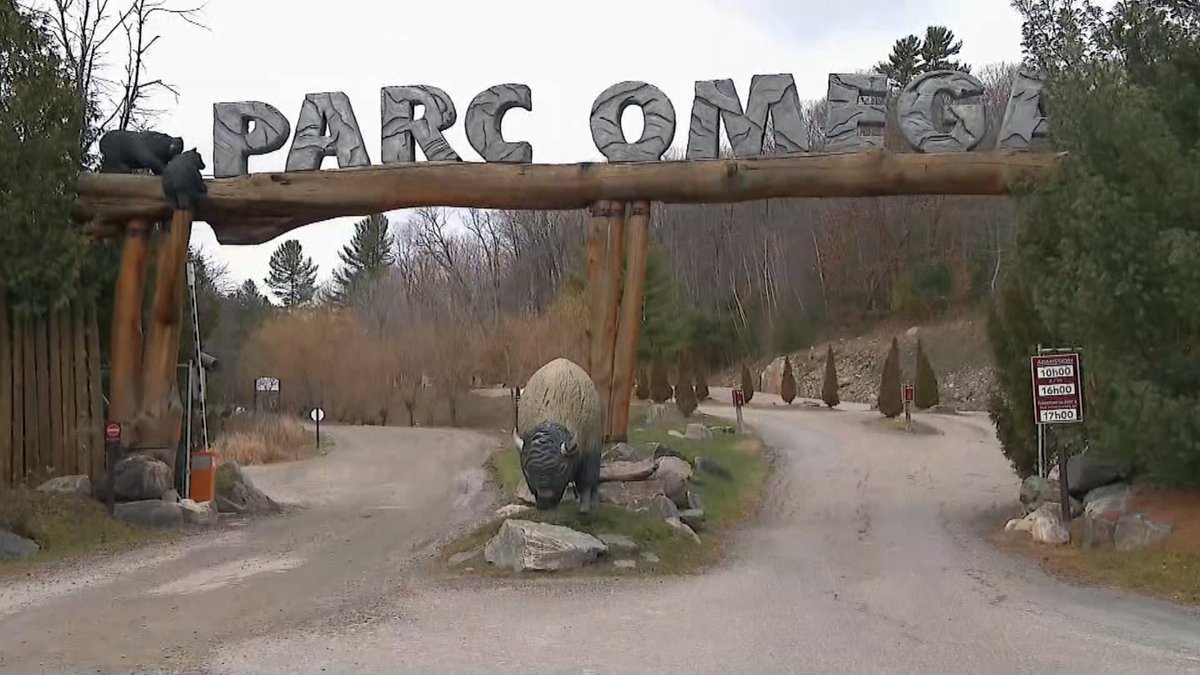 tvanouvelles's tweet photo. Plusieurs animaux abattus par des intrus au Parc Oméga https://t.co/7dE0RjkfuR https://t.co/A1WTFXzgyp