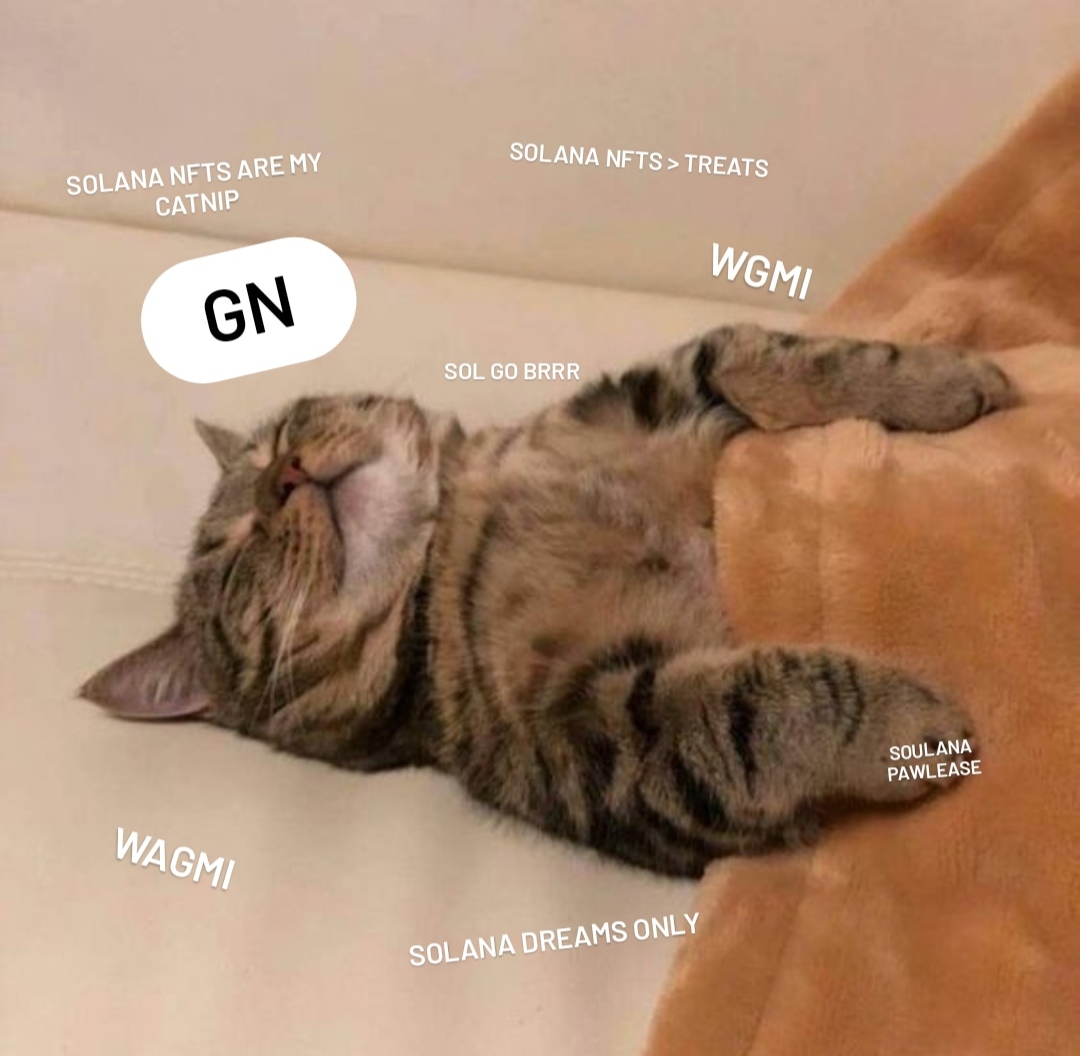 Magic Eden 🪄 tweet media