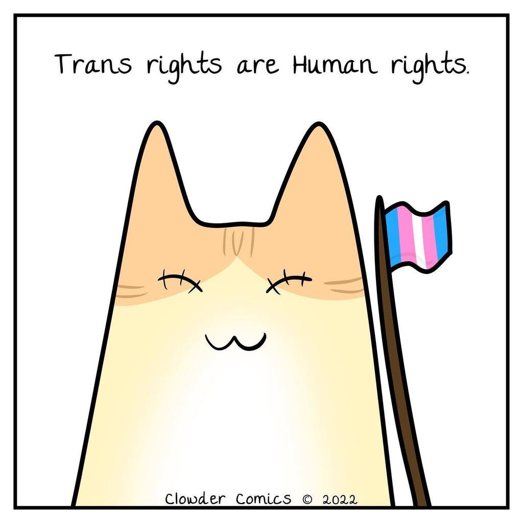 ClowderComics's tweet image. He may be a himbo but Pidge is here to remind you that #transrightsarehumanrights for #transawarenessweek . #specialneedscats #comics #webcomics #webtoon #specialneeds #blindcat #comic #blindcats #blindcatsofinstagram #oneeyewednesday #fourcats #transrig… instagr.am/p/Ck83-dJOVf7/