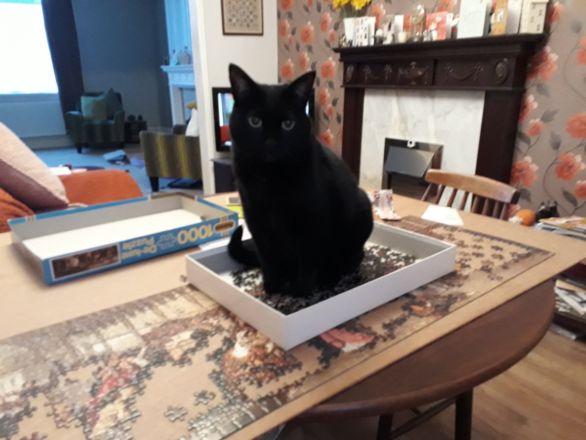 Jacqueline Jacques tweet media