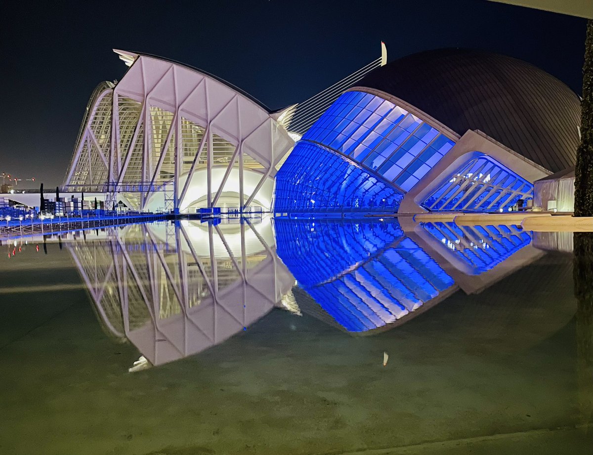 What a nice place to have the Offsite Function at #BILTEUR2022 in Valencia ! @BILTevent #AutodeskLife 
(Is it only me seeing two fish chasing each other ?)