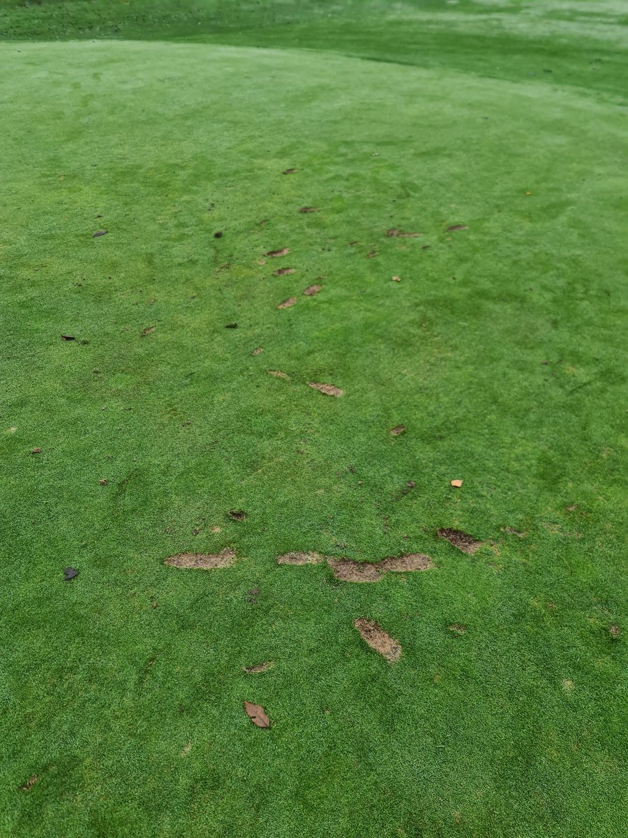 Chris Lone tweet media