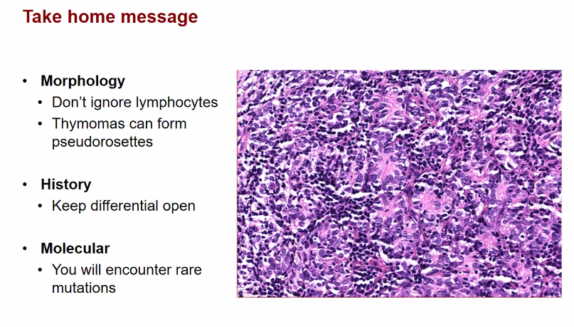 UChicagoPath's tweet photo. #IRAP22 Case 4 presented by PGY2 Raghad Kherallah
Elderly male with lung mass
Final dx: Thymoma AB https://t.co/Xuf8l26uiP