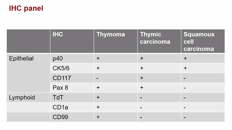 UChicagoPath's tweet photo. #IRAP22 Case 4 presented by PGY2 Raghad Kherallah
Elderly male with lung mass
Final dx: Thymoma AB https://t.co/Xuf8l26uiP