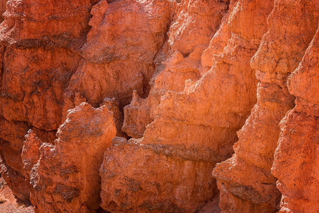 #BryceCanyon #bryce #brycecanyonNP #brycecanyonnationalpark #DaveKochPhoto #NationalPark #SouthernUtah #UtahLiveElevated #VisitUtah #beUtahful #canyon #igutah #landscape #outdoors #photography #redrocks #sandstone #utahisrad #utahphotograph #west #western