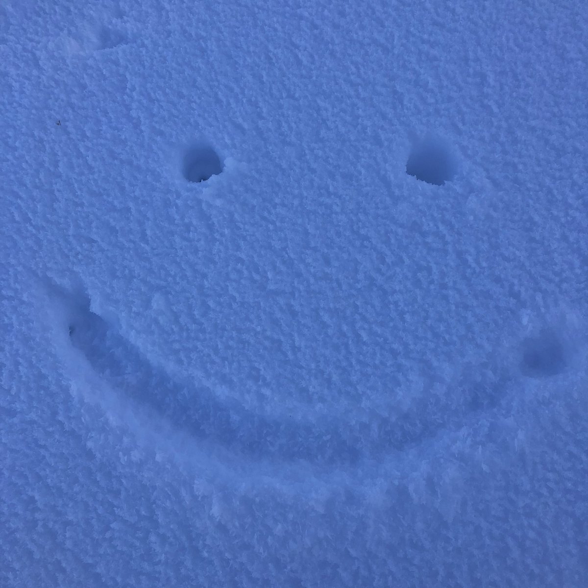 Visit NE Washington State - North Columbia Country tweet media