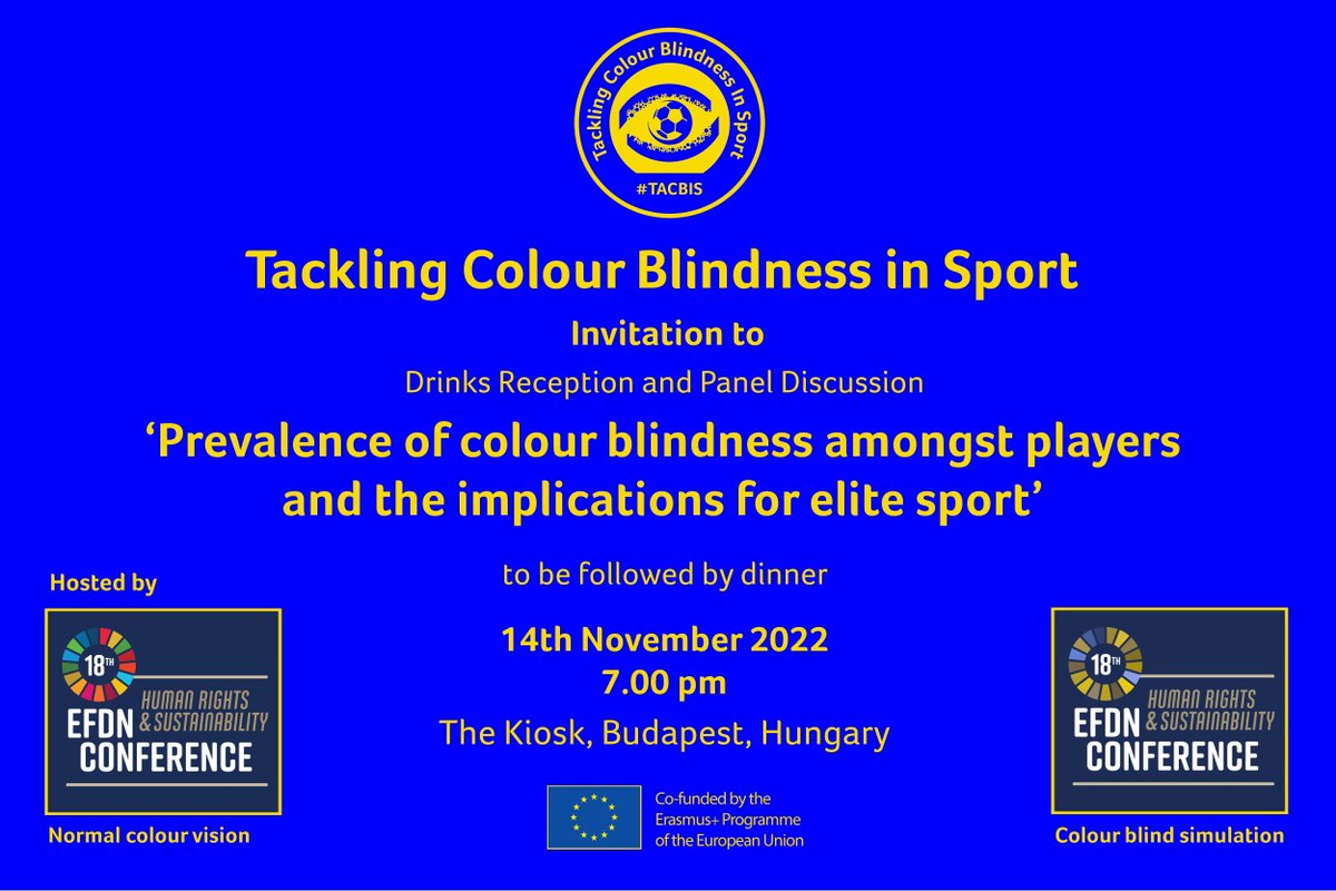 colourblindorg's tweet photo. Launching our research findings on prevalence of colour blindness in elite footballers tonight in Budapest #excited #TACBISproject https://t.co/xQlbb9Dfok