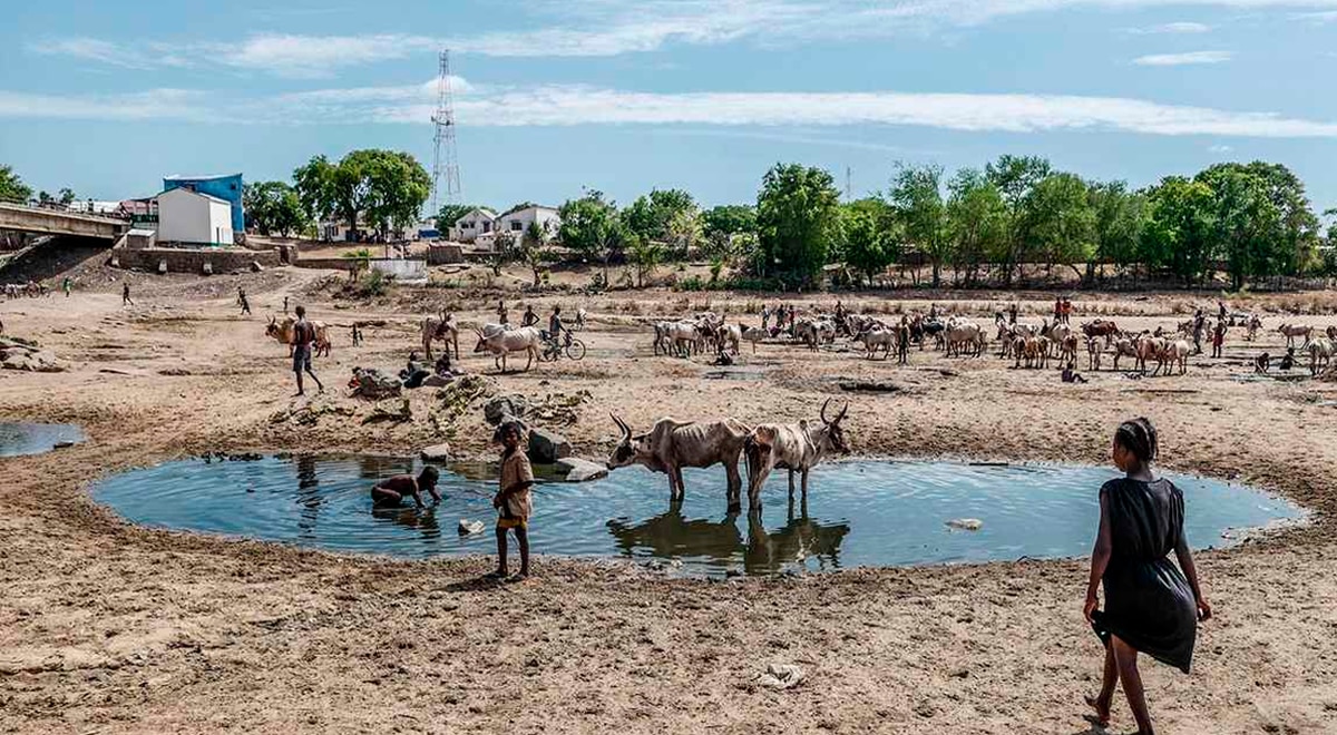 UNV_ESARO's tweet photo. Global #solidarity is urgently needed to help vulnerable communities in the Horn of Africa survive a rapidly unfolding drought-induced humanitarian catastrophe expected to continue well into 2023.  

Read more here 》https://t.co/hqVXYdJDUn https://t.co/fCvj8h5CM5