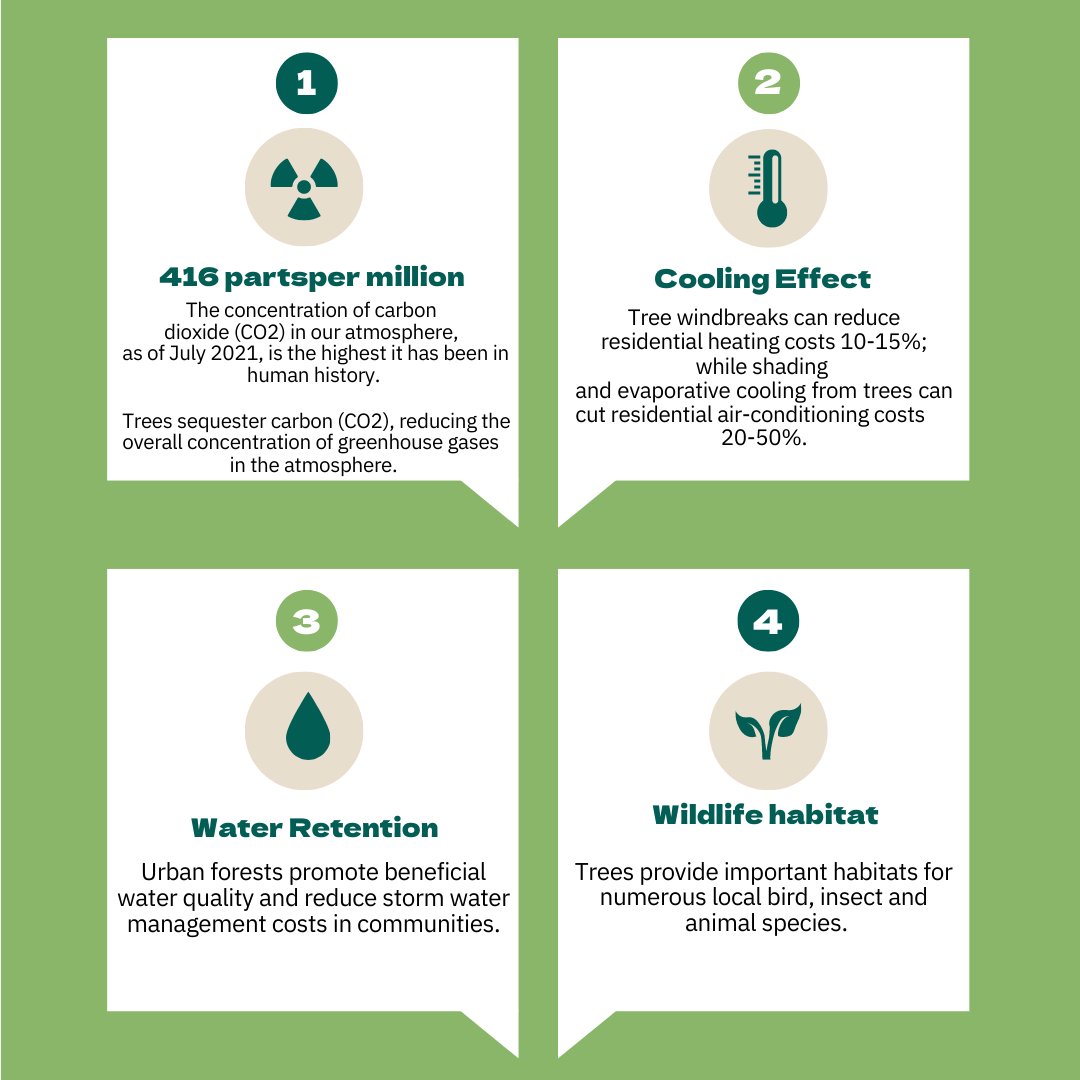 Environment GCA tweet media