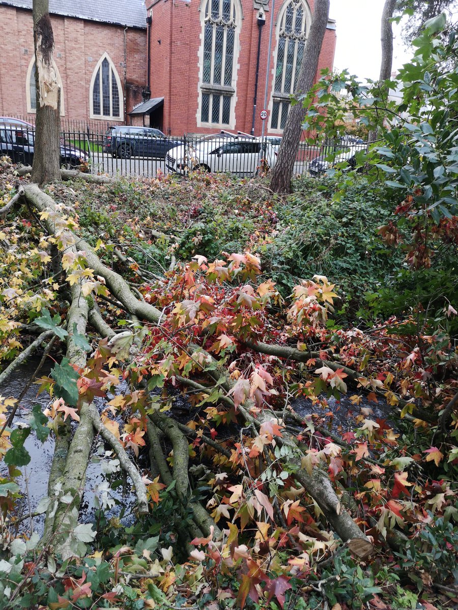 iamgrantmoon's tweet photo. @NatResWales Hi, a tree's down and obstructing brook in Roath Brook Gardens opposite Church Of St Edward CF23 5DE. Reported to @cardiffcouncil too, but could this get removed, please? Won't take much for this to collect matter, block brook and risk flood. Thank you. https://t.co/CIOlhwa3nv