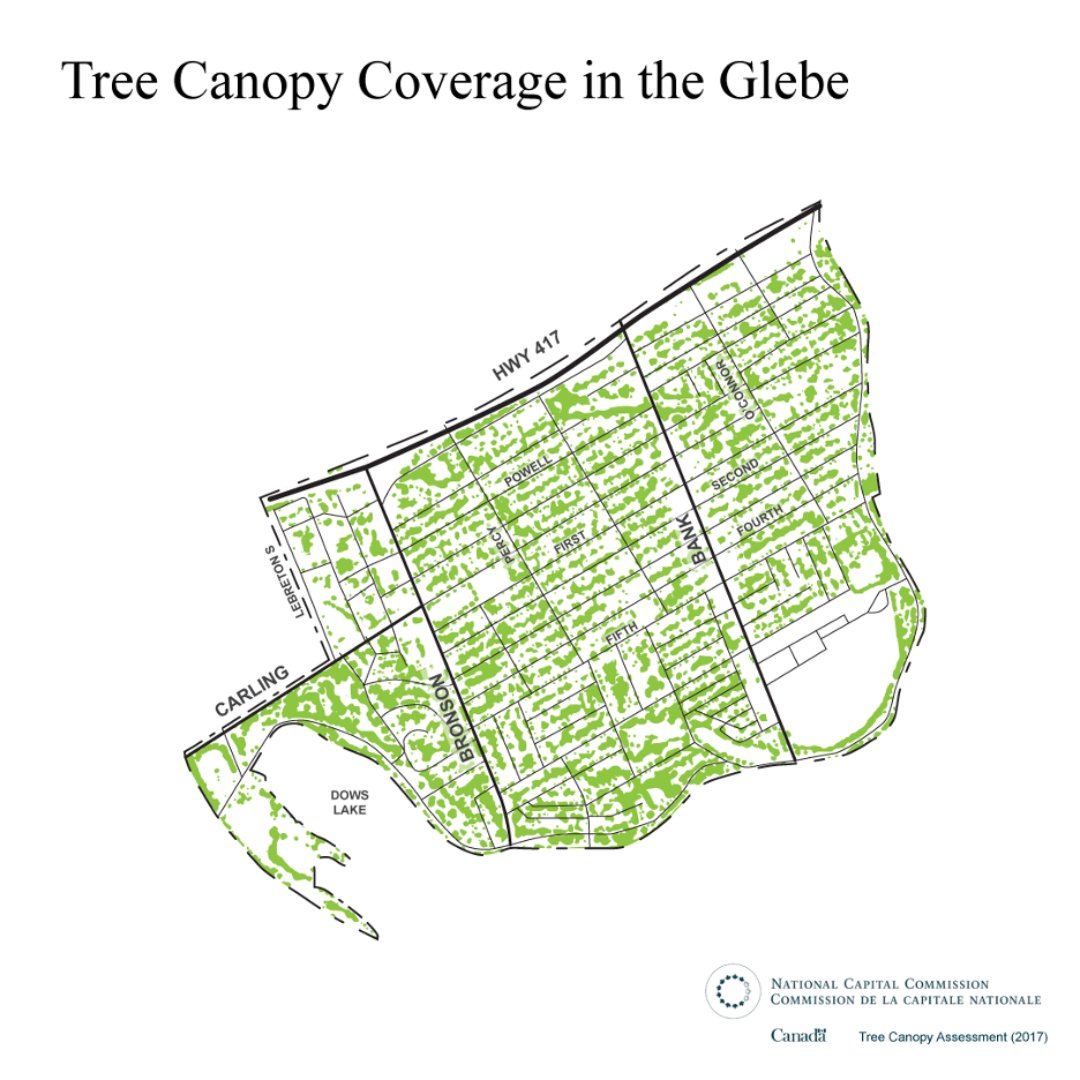 Environment GCA tweet media