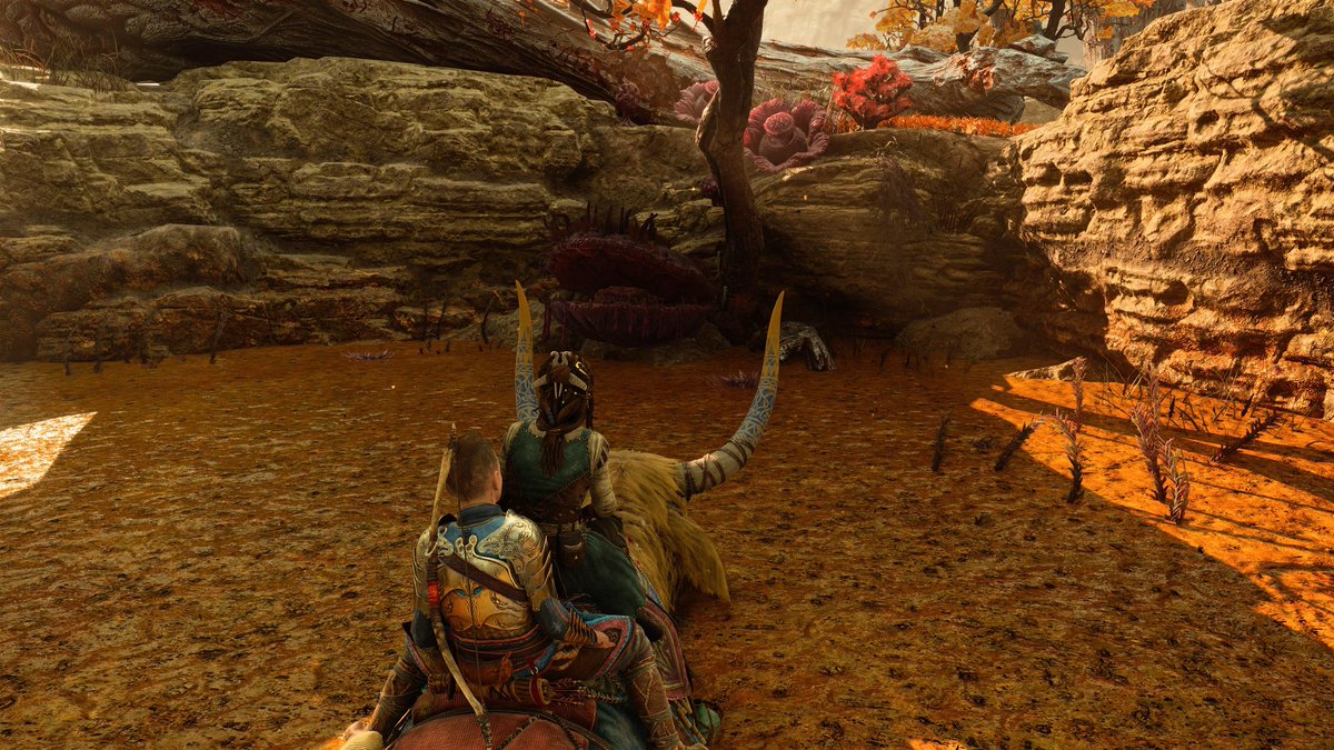 Deivid_25_mlg's tweet photo. Bosque de hierro #GodofWarRagnarok #atreus #santamonicastudio #PlayStation https://t.co/l8wBxgx9u6
