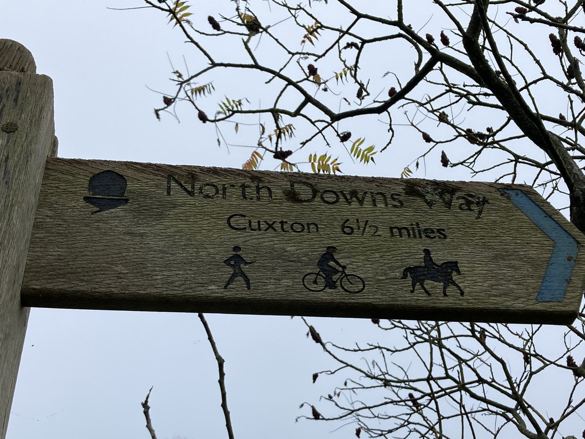 BBCRadioKent's tweet image. Pushing on now to the finish line at the @angeladdington the team have just crossed the famous #Pilgrimsway near Trottiscliffe