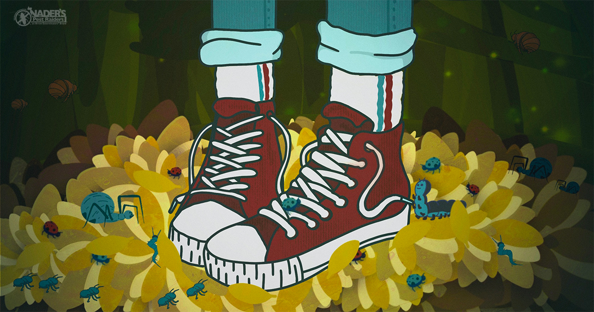 naderspestraid's tweet image. Watch out for that #leafpile! It may look inviting — but creepy crawlers could be hiding under the surface. 🍂