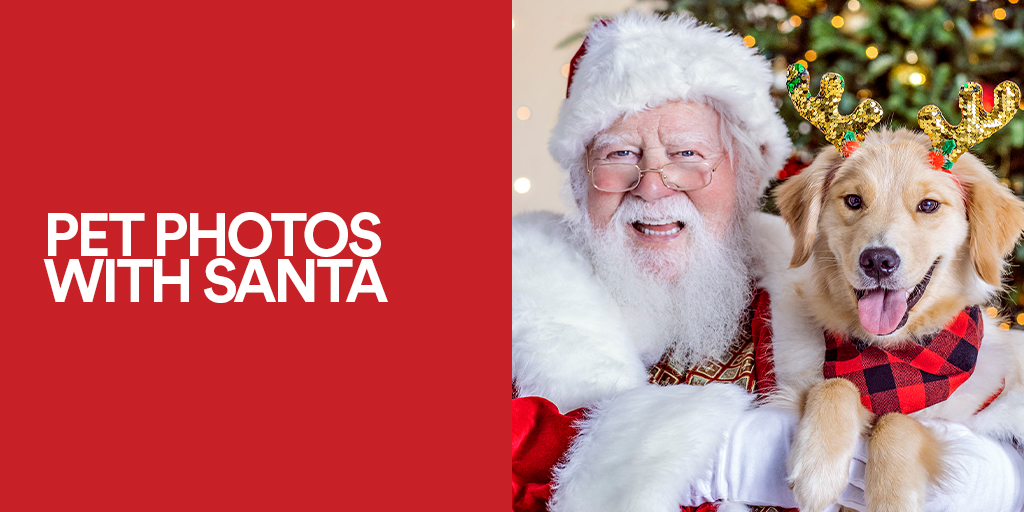 Are Dogs Allowed At Woodfield Mall