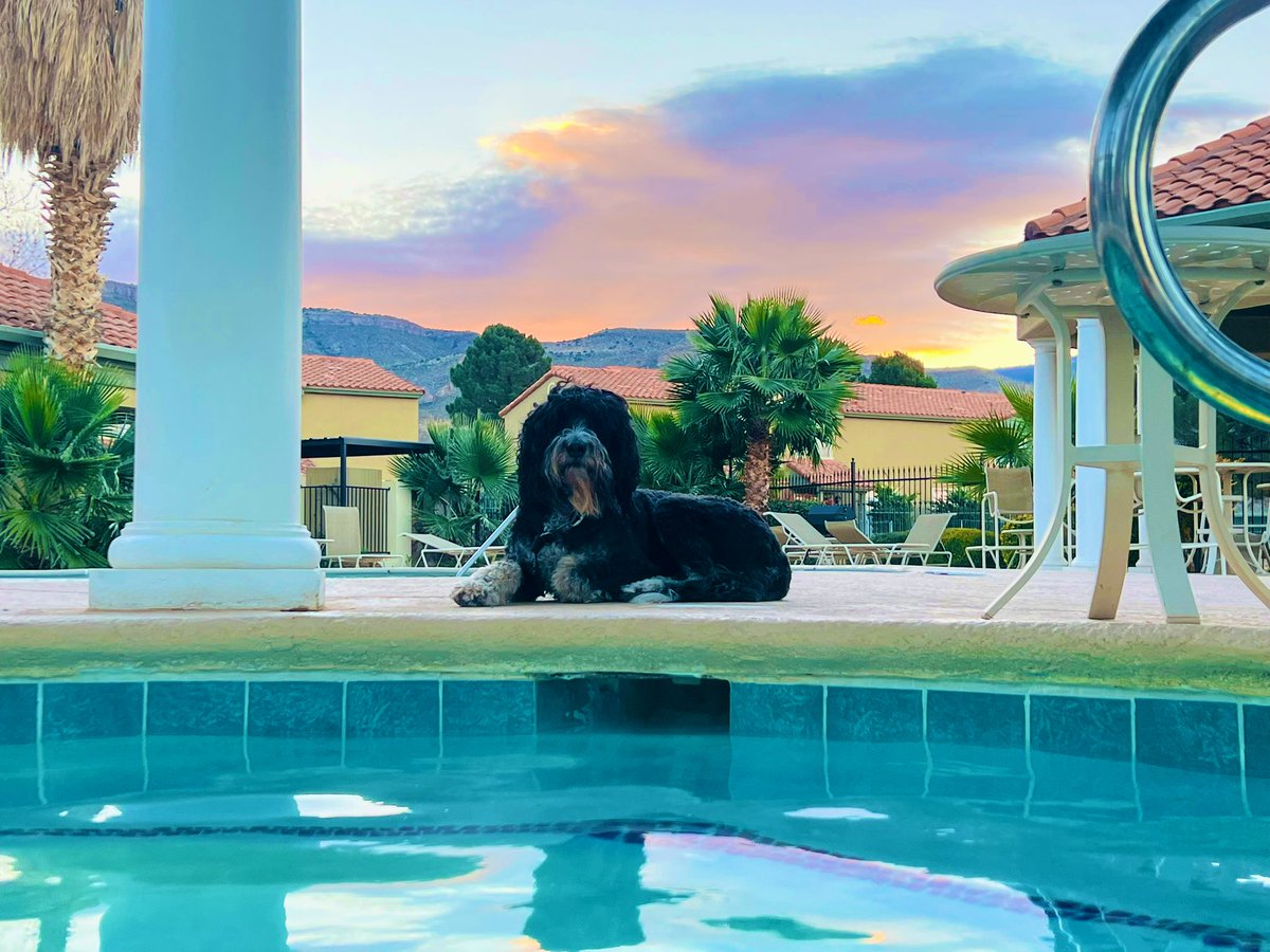 AlBocian's tweet photo. Took the #DayOff to relax/recharge & practice reading #Braille for my upcoming annual exam.
Can’t think of anything else I need this #Morning
#HotTub #SunRise #ReadingMaterials
#River the #ServiceDog #Bernedoodle
@CelsiusOfficial
@NewMexico #Teacher
#Mountains #ColorfulSkies https://t.co/DDVTADlVK2