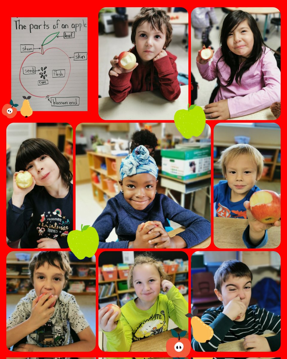 MaryHilpert's tweet photo. Eating healthy and local thanks to @OSNPsouthwest and @PC_Charity
Students & staff @qesarnia ate an apple! We also labelled the parts of the apple and toured an Apple Orchard in Ontario. Feeding bellies and growing mindsπππ
#snackprogram #lkdsb #healthyeating #healthyhabits https://t.co/TL25XiTN0n