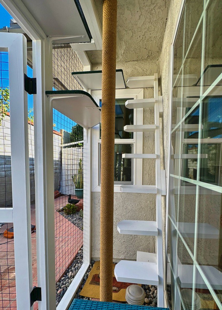 CatioGuy's tweet photo. Sweet Pea and Boo Boo's Upland catio was built in a nook, so it blends in perfectly with the home, making both the furballs and the hoomans happy! ���😊

#cat #cats #catstagram #catio #catios #catioguy #customcatios #customcatio #catenclosure #catsofinstagram #CatsofTwittter https://t.co/1u1vdsRNtC