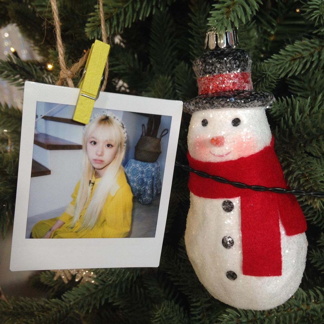 ofChaeyo's tweet photo. 그리고🫠🫠🫠 크리스마스가 가까워졌딩 ~ ! https://t.co/ciSlLaZmWL