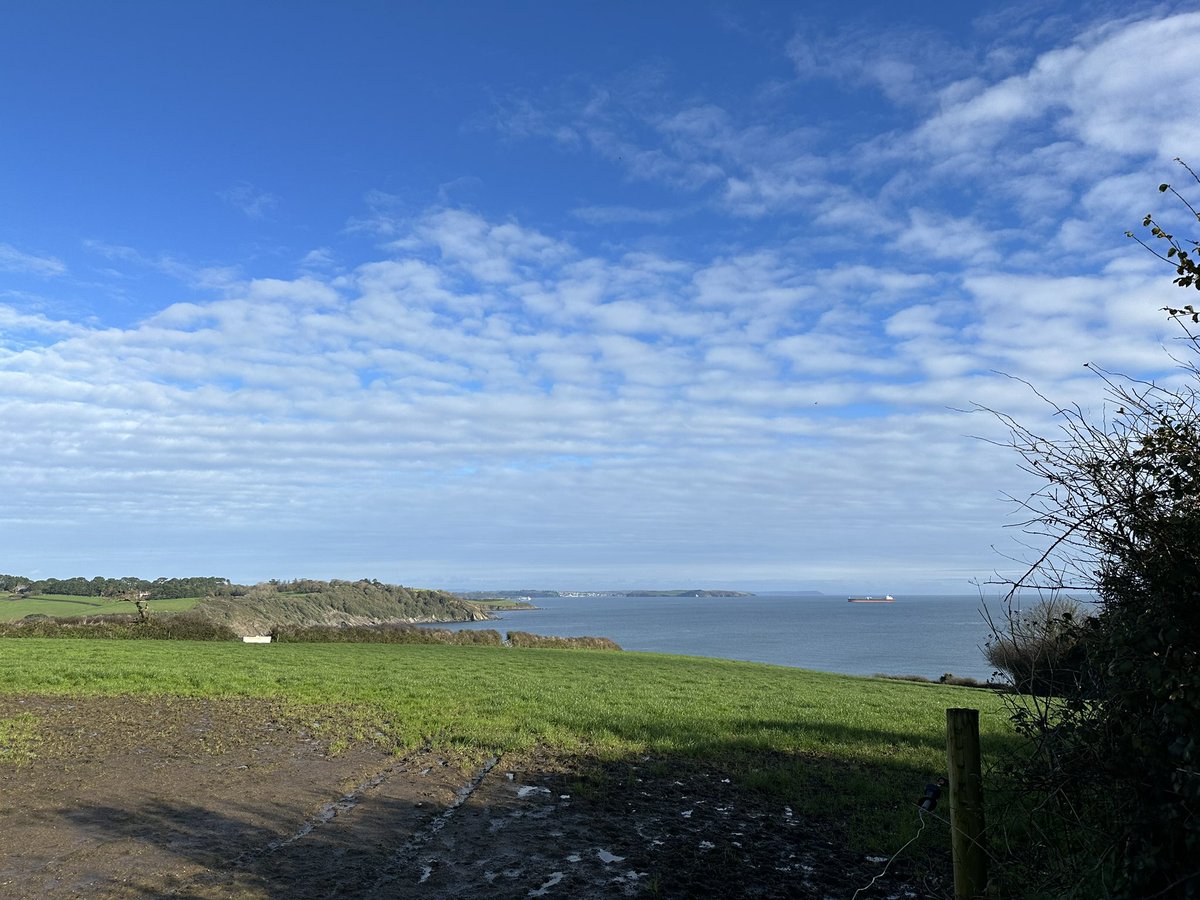 Liz Fenwick tweet media