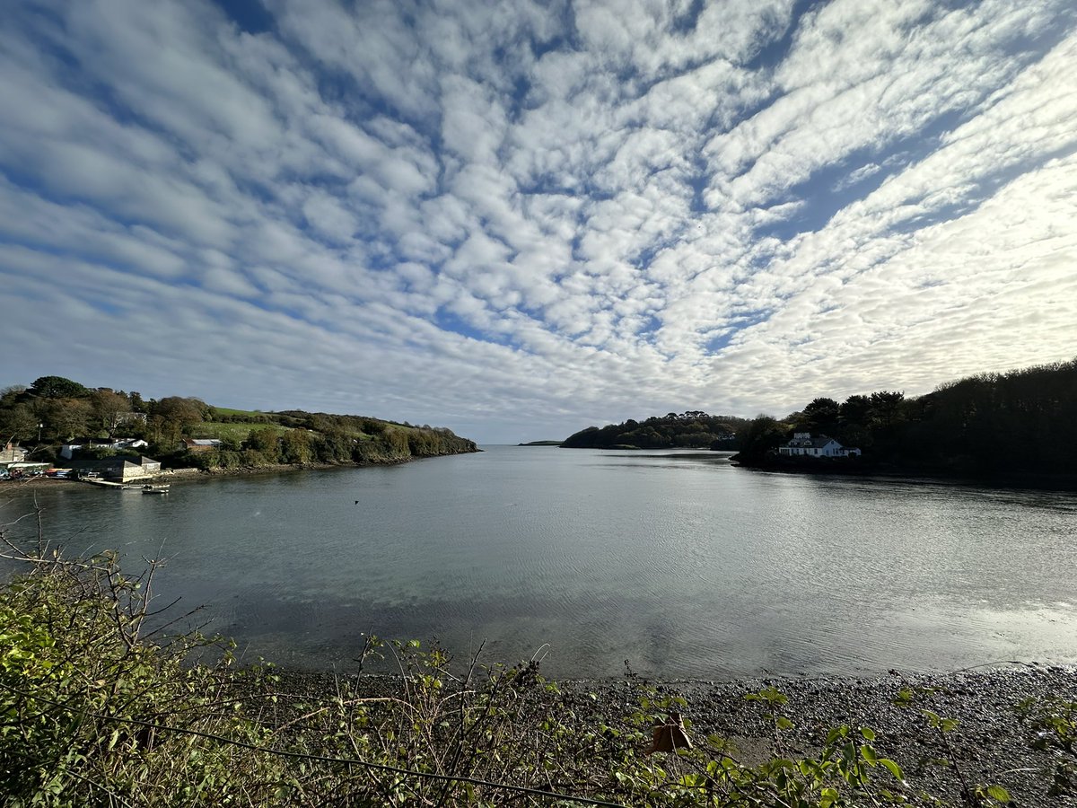 Liz Fenwick tweet media