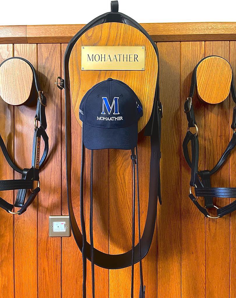 Shadwell_EU's tweet image. ⚠️ COMPETITION TIME ⚠️

To celebrate MOHAATHER’S first foals starting to sell at Goffs tomorrow we are giving away 3 of the explosive miler’s caps! 🙌🧢

All you have to do is retweet and follow! The winners will be announced on Wednesday🤞🔵⚪️