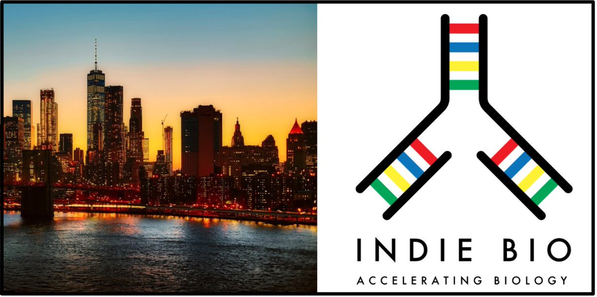 FluoSphera (@fluosphera) on Twitter photo <a href="/FluoSphera/">FluoSphera</a> has been selected to the 5th cohort of IndieBio New York, the World's Biggest #biotech Accelerator, together with 9 other startups working for Human and Planetary #health ! 💊 🌎
indiebio.co/cohort/ibny05-…
<a href="/Fongit1/">FONGIT</a> <a href="/sosventures/">@sosventures</a> <a href="/indbio/">IndieBio</a> <a href="/RouxLab/">Roux Lab</a> <a href="/HubUnige/">Science Innovation Hub - UNIGE</a> <a href="/unige_en/">UNIGE_en</a> <a href="/FluoSphera/">FluoSphera</a> has been selected to the 5th cohort of IndieBio New York, the World's Biggest #biotech Accelerator, together with 9 other startups working for Human and Planetary #health ! 💊 🌎
indiebio.co/cohort/ibny05-…
<a href="/Fongit1/">FONGIT</a> <a href="/sosventures/">@sosventures</a> <a href="/indbio/">IndieBio</a> <a href="/RouxLab/">Roux Lab</a> <a href="/HubUnige/">Science Innovation Hub - UNIGE</a> <a href="/unige_en/">UNIGE_en</a>