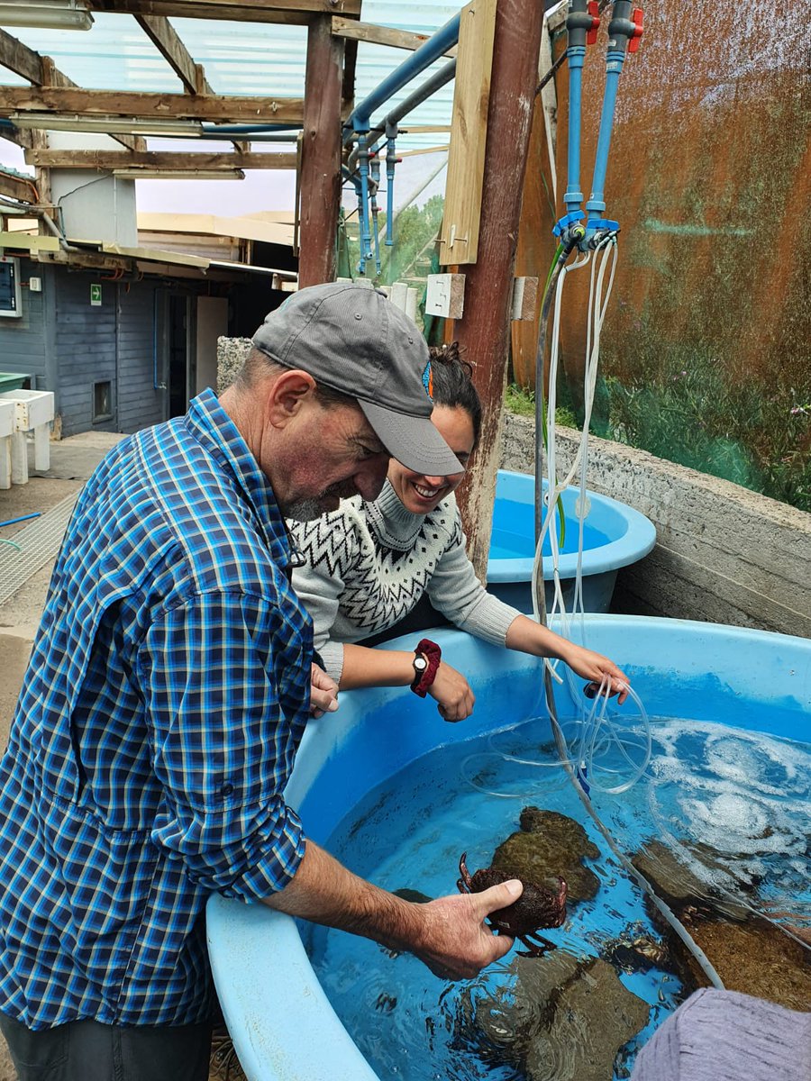 Seguimos con la visita de <a href="/deepdirk/">Dirk Rosen</a>, Director Ejecutivo de <a href="/MAREgroup/">MARE</a>, a Chile — en el marco de nuestro nuevo proyecto de Intercambios #CCCx. Esta vez, visitamos #ECIM #UC, para realizar un encuentro con académicos, científicos y buzos del <a href="/nucleo_nutme/">Núcleo Milenio NUTME</a> y de  <a href="/ucatolica/">Universidad Católica</a>. (1/6)