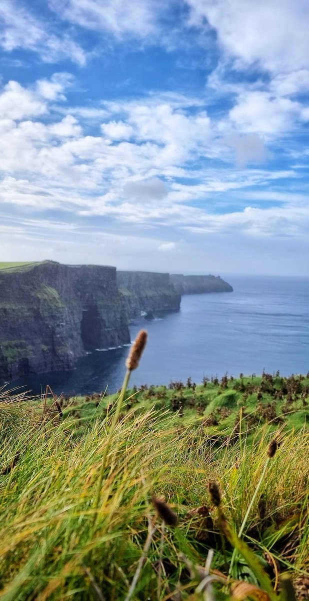 Antipolo Nuts tweet media