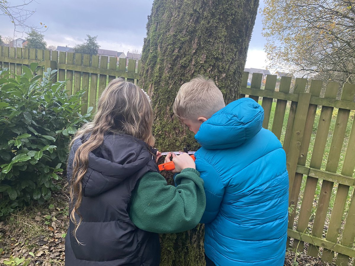 eacStPatricksPS's tweet photo. This afternoon, P7 became scientists as they worked with Mrs Conquer from @eaclost to explore the trees in our Nature Garden. They calculated the ages of the trees and found some older than the school! https://t.co/LDyxgWXTt8