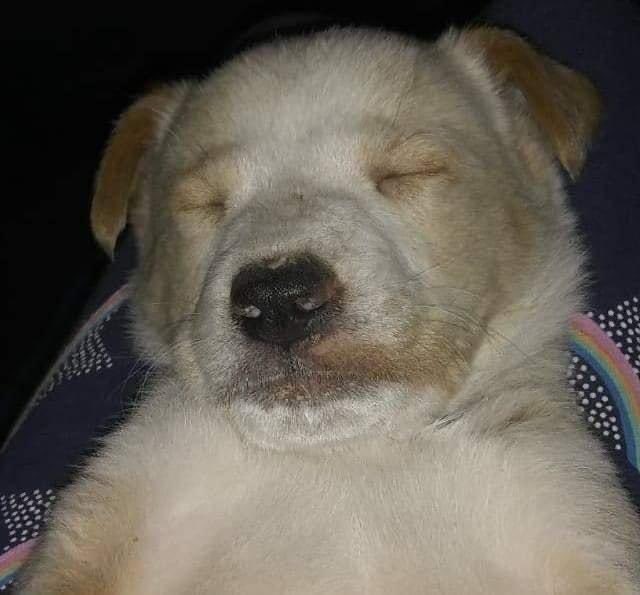 Lunes con toda la actitud