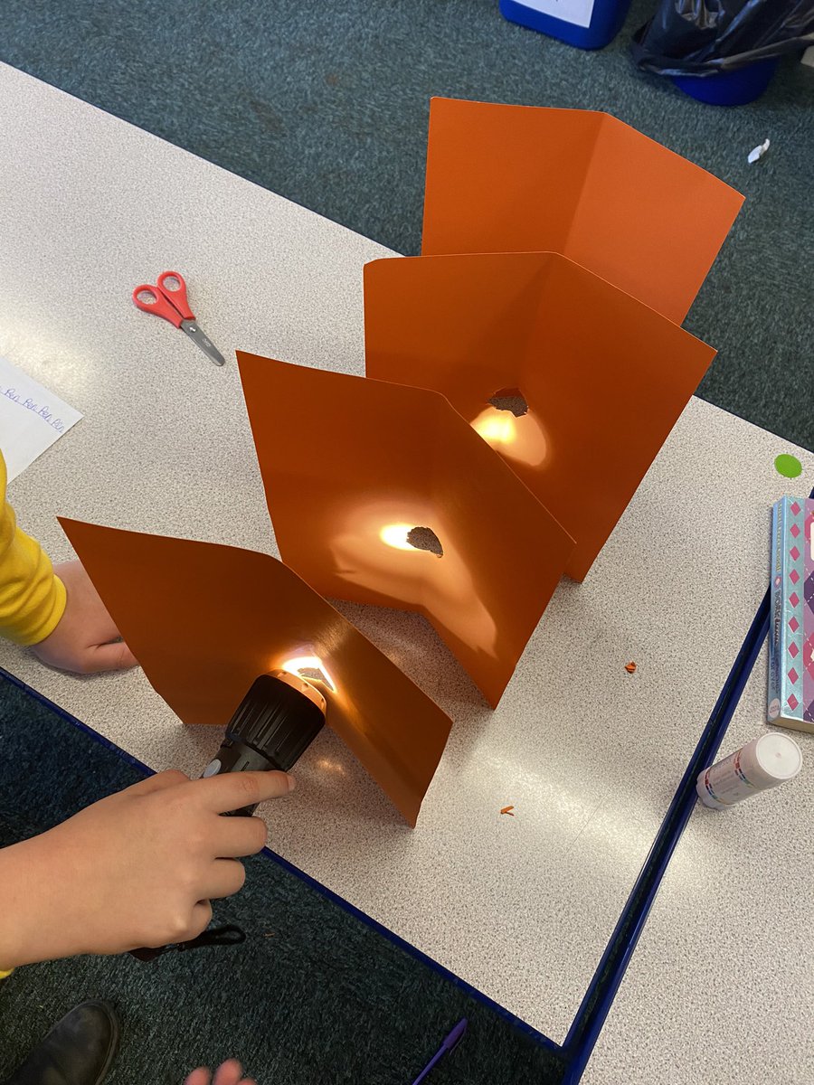 Y6LaceyField tweet media