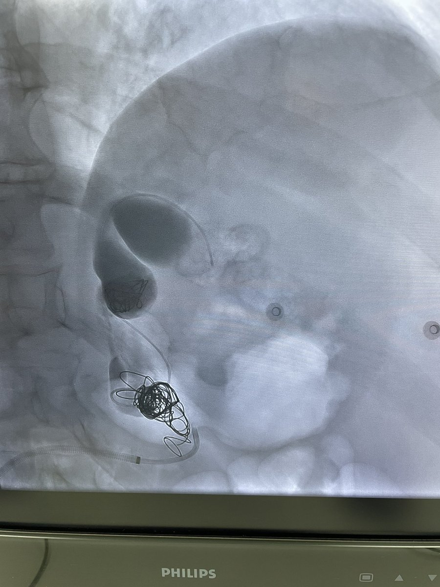 Saher Sabri tweet media