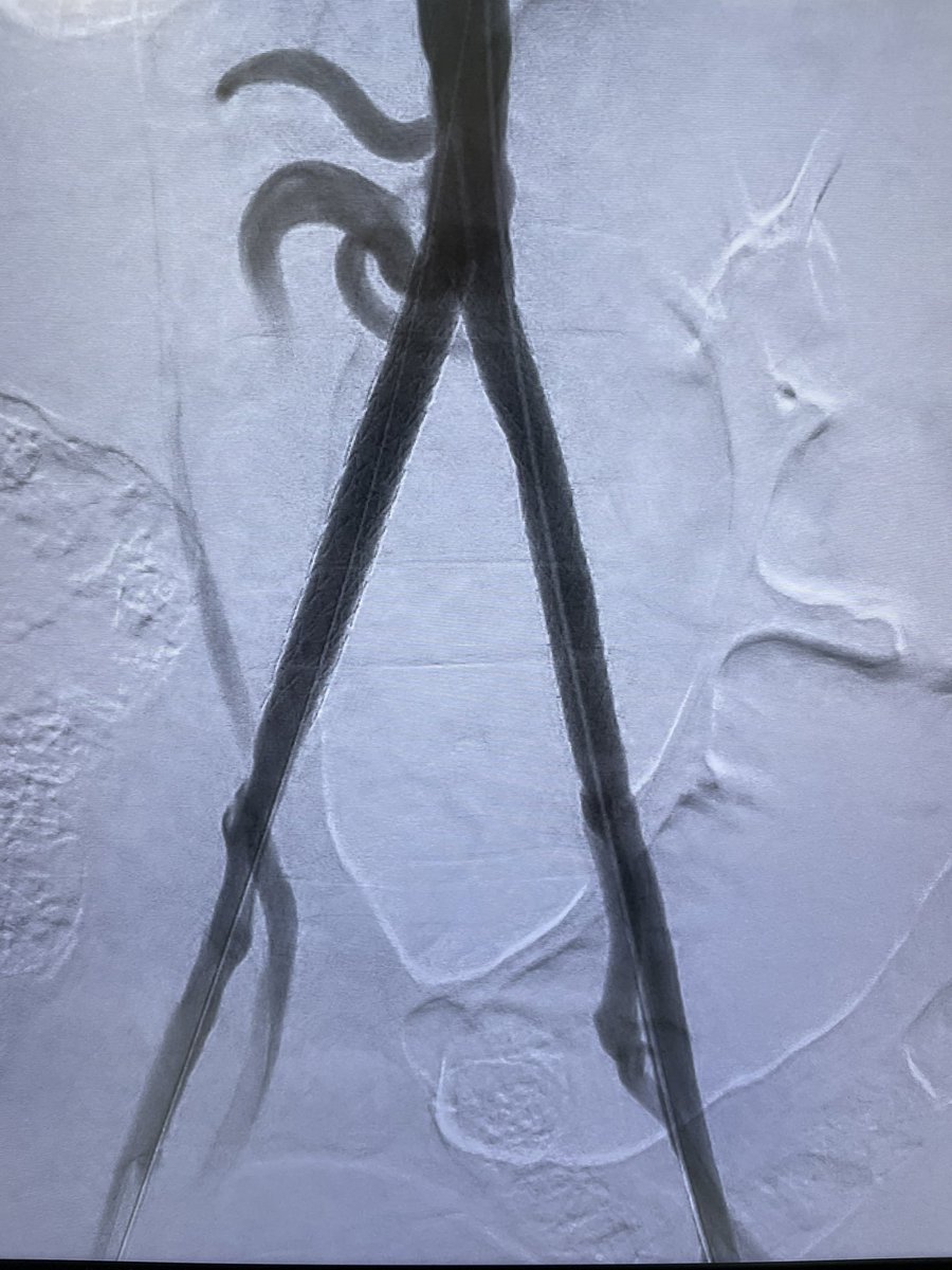 Saher Sabri tweet media