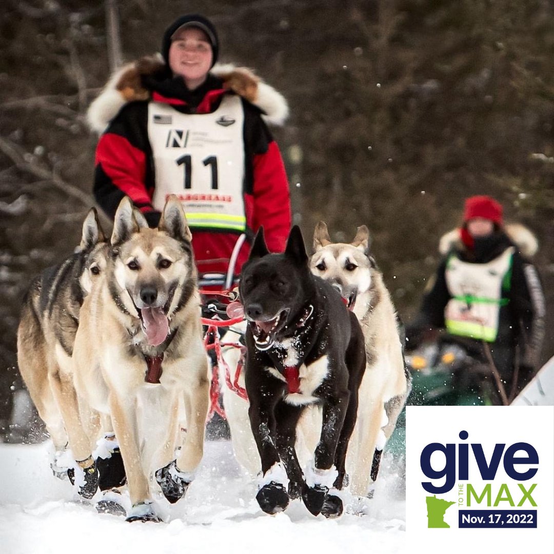 Beargrease Sled Dog Marathon tweet media