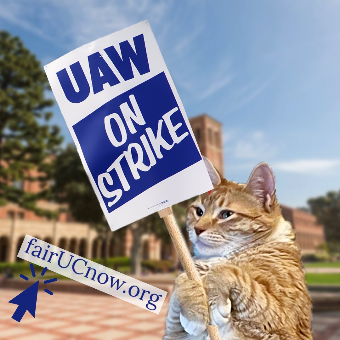 [screaming] FIFTY THOUSAND ACADEMIC WORKERS are going on STRIKE. It’s such a big deal omg 

QUICK! Go to FairUCNow.org to find a way to support them #FairUCNow