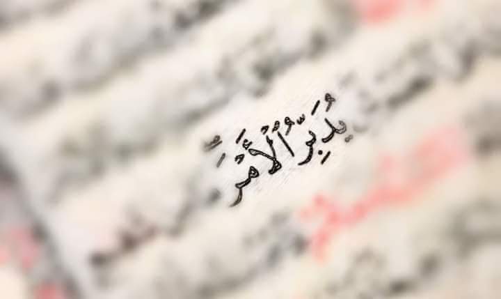 السعادة ليست حلماً و لا وهماً ، 
بل هي تفاؤل و حسن ظن بالله
 و صبر بغيِر استعجال ، 
و ثق دائما بأن اليد المُمتدة إلى الله
 لا تعود فارغة أبدًا
أسأل الله أن يسعد قلبي و قلوبكم•
