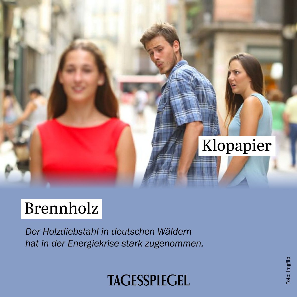 Tagesspiegel's tweet photo. Wie sich Holzdiebe in Brandenburgs Wäldern bedienen: https://t.co/9zyuQ3xoS8 https://t.co/ZGTPmAoziz