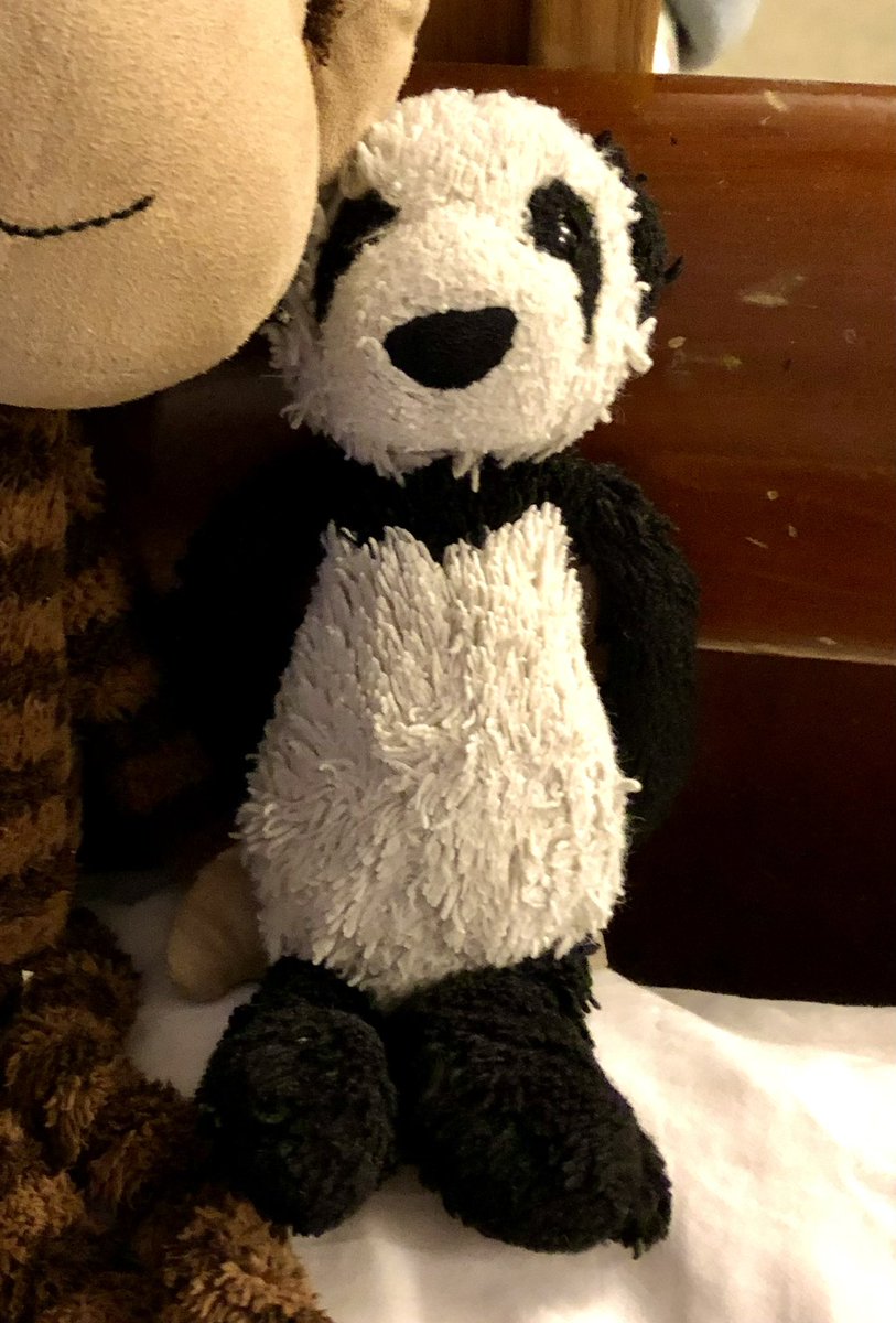 This is Panda. Panda is D1’s constant companion. She was lost somewhere in #Antwerp, Belgium yesterday. She has the well-loved patina of grime and toddler spit that makes her irreplaceable. I put this message out into the world in the hope that she sees it and finds her way home