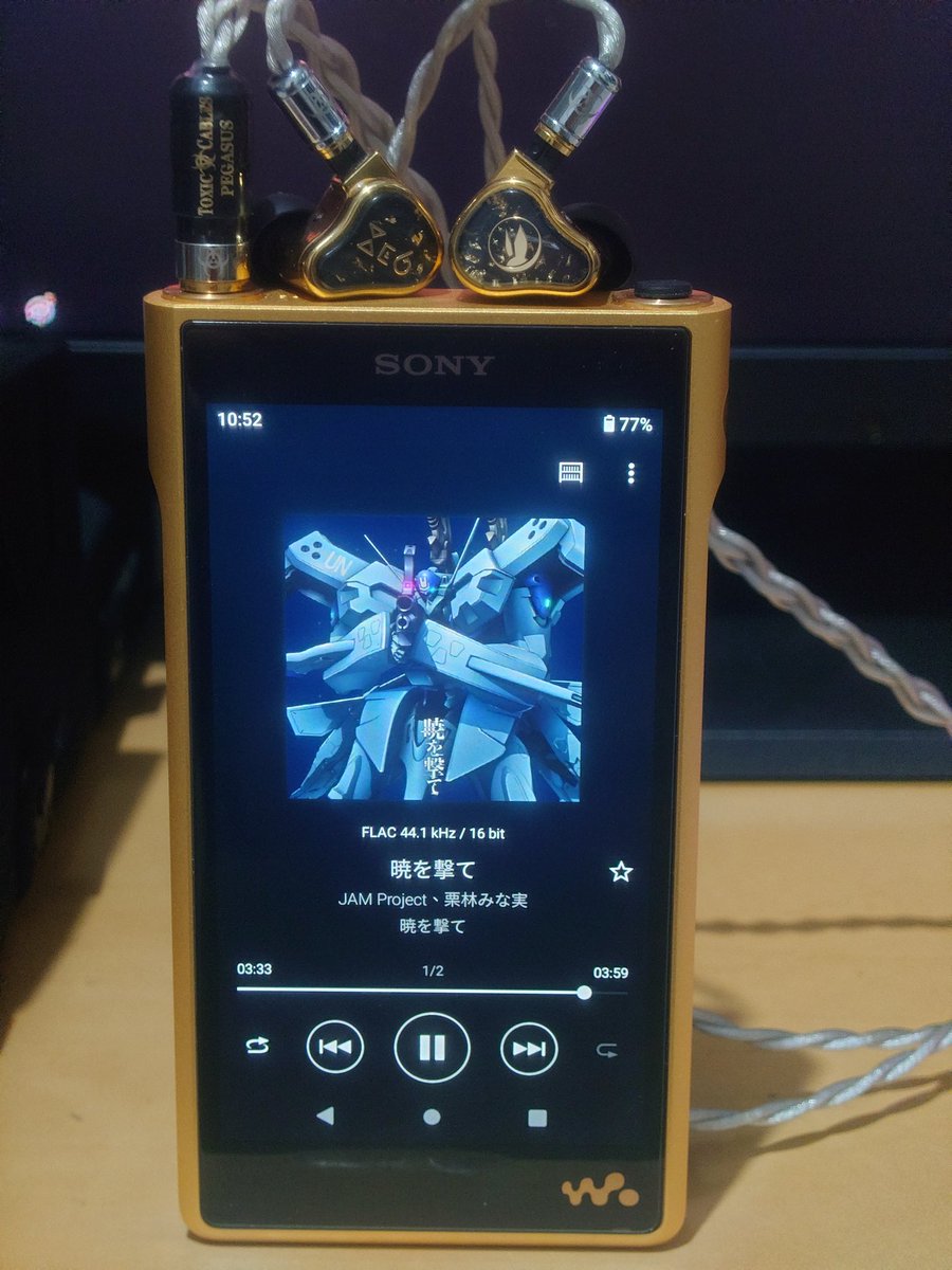 #Sony
#NWWM1ZM2
#FiRAudio
#Xenon6
#toxiccables