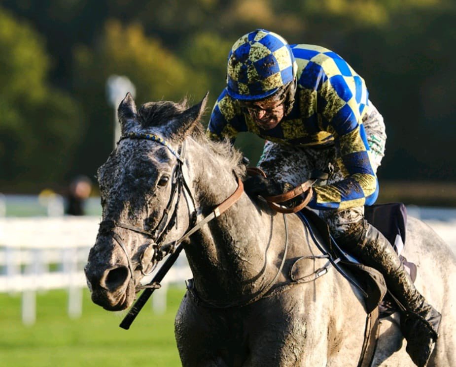 Thomas Doggrell tweet media