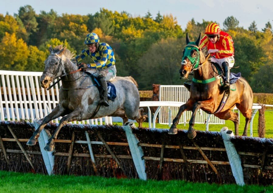 Thomas Doggrell tweet media