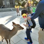 ツイートに含まれる画像