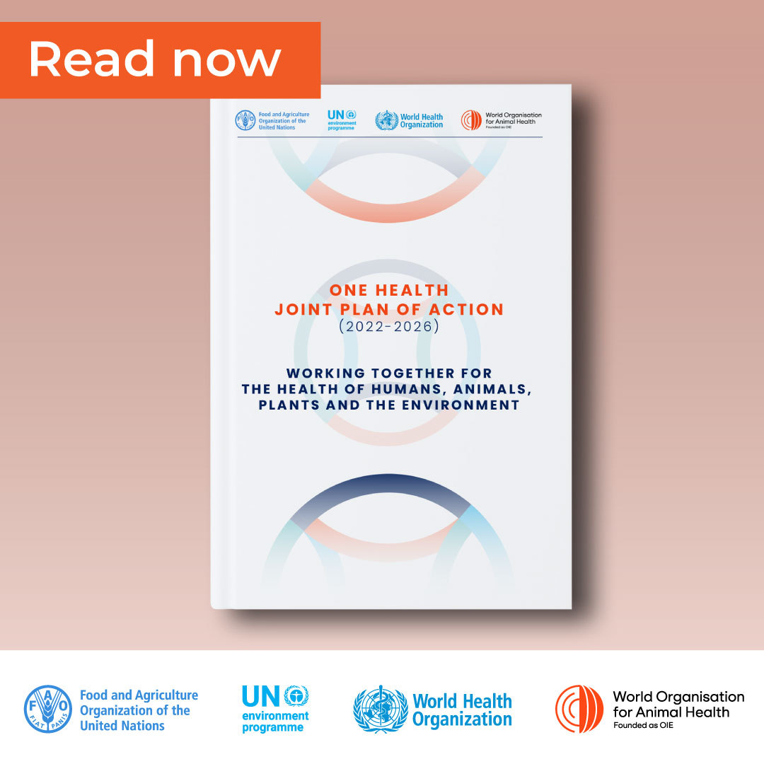 FAOLivestock's tweet photo. The #OneHealth Joint Plan of Action contributes to

✅ Achieving sustainable health &amp; food systems
📉 Reduced global health threats
♻️Improved ecosystem management

Check out the One Health vision of the Quadripartite - @FAO @UNEP @WHO @WOAH_global

📖https://t.co/avPZrmvHQq https://t.co/0xeAVBoHId