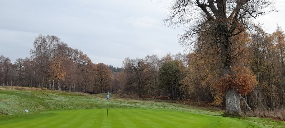 john_gkeeping💚 tweet media