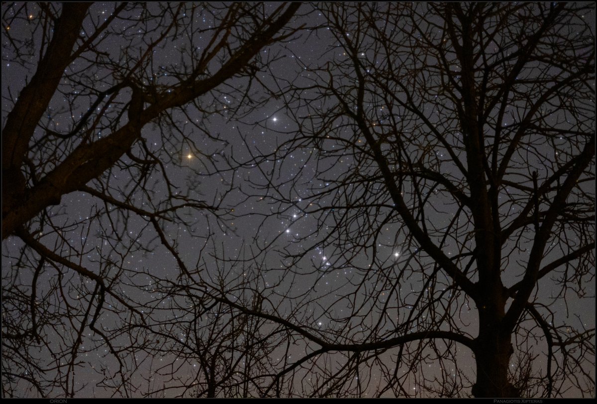 Orion #stars