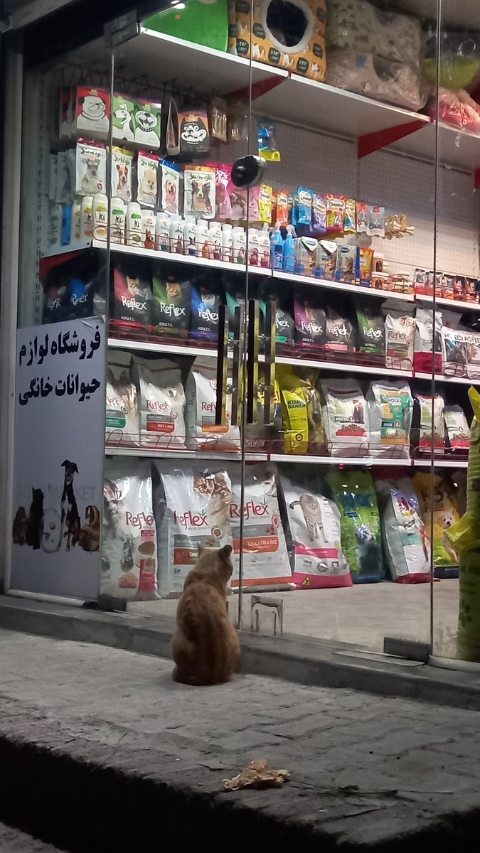دیده شده در شهر.