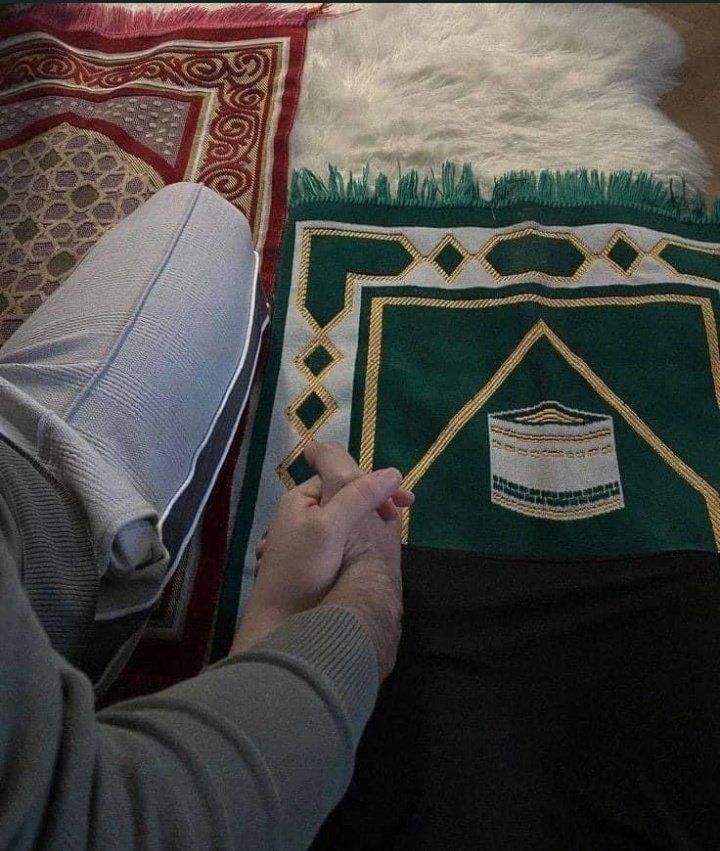 ويظلُّ دربُ العمرِ مخضرًّا إذا،
شُدّت يداكَ إلى الصفيِّ المؤنسِ!