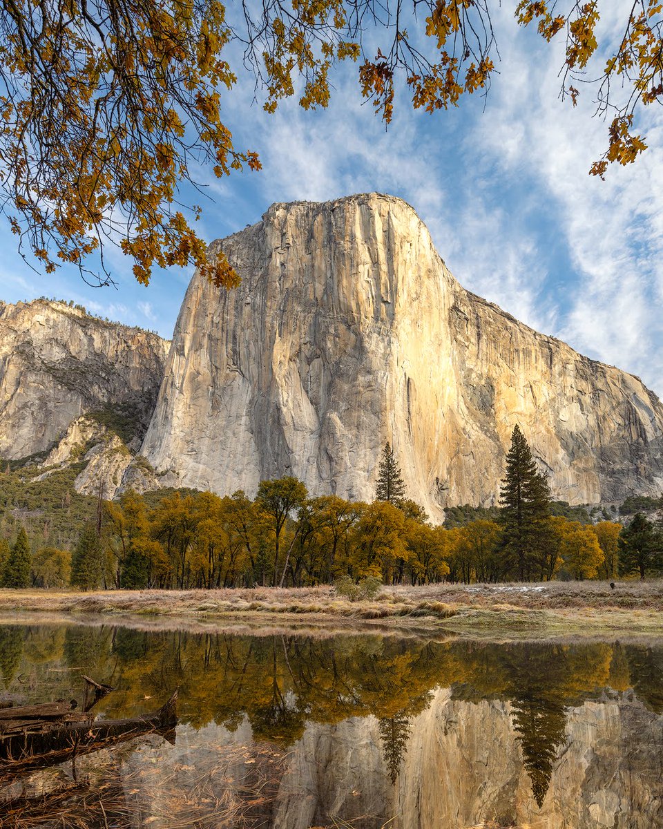 dsafanda's tweet image. Yosemite valley on a perfect autumn day
... 
#yosemite #yosemitenationalpark #yosemitevalley #california #elcapitan